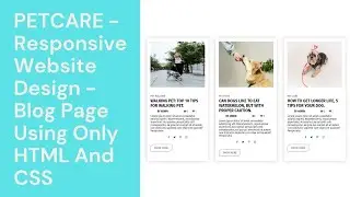 PetCare - Responsive Website Design - Blog Page Using Only HTML And CSS || WebMode