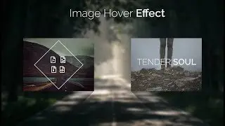Awesome Hover Effect On Image Using HTML & CSS