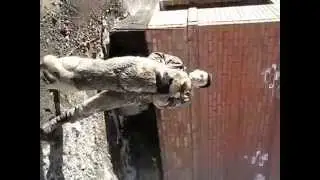 ручной волк