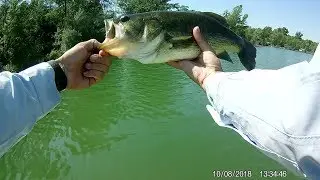 Ultima partida de bass din vara