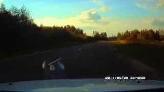Сохатый