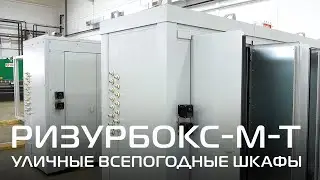 РИЗУР | Уличные всепогодные шкафы РизурБокс-М-Т (RizurBox-M-T), 2023