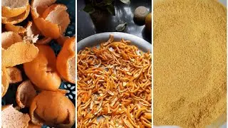 Orange Peel Powder @morrowcraft