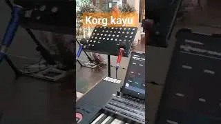 korg kayu #music #korgpa #musiceducation #tutorial #korgpa5x #musiclessons #tutorialmusic #hadroh