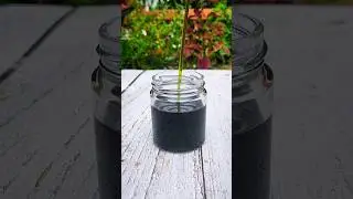 Viral Homemade Organic Hair Growth Oil DIY anti hairfall oil #shorts #trending #ytshorts #viralvideo