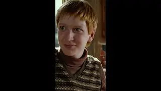 Harry Potter characters with twin energy 