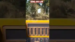 Riding Shot Gun 