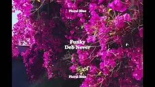 Deb Never - Funky