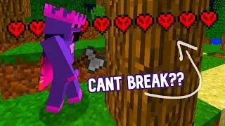 Attempting to Beat Minecraft Hardcore Without Breaking Blocks (Ep. 1)