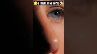 2 Intresting Facts || 2 मजेदार तथय #shorts #factshorts #factsinhindi