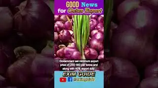 Now Onion can be exported 