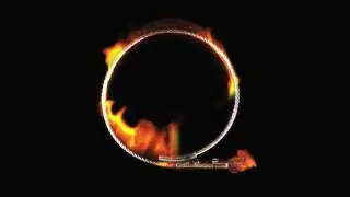 thefoodloop®flame - food trussing tool for the grill
