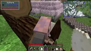 Minecraft| WildCraft #3 Release The Vultures!