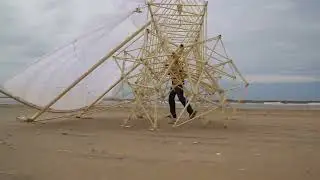 Walking at the beach 2017