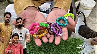 racing pigeon leg ring | pigeon ring | कबूतर के पैर की रिंग | identity pigeon ring