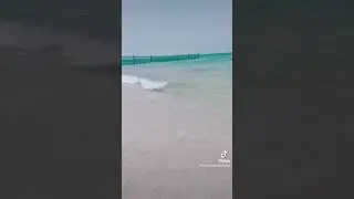 Dubai❤️