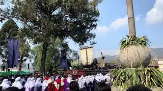 La Reseña - Jesús de la Merced, Domingo de Ramos 2024