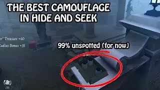 Best spot in Hide and Seek - Identity V