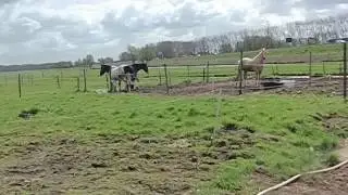 Dagje stal even Rust dagje