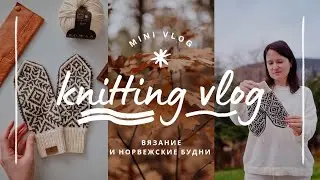 vlog 42/24 | жаккарды и кашемиры: история о том как прошла моя неделя 🧶 новые скандинавские варежки