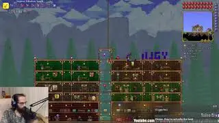 11/14/20 Terraria [4]