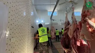 Qurbonlik faoliyatlarimiz 2-kun [so’yish va tarqatish ishlari] || Saxovatli Qo’llar