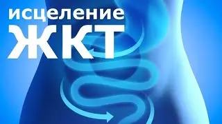Исцеление жкт - самоисцеление, а также обучающий вебинар для целителей