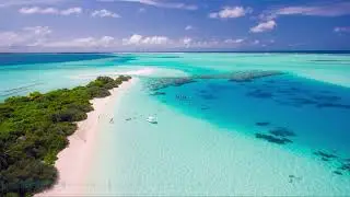 Stereo Munk & Dublew - Blue Lagoon (Molac Remix)