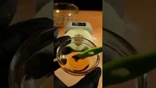 Una hora de hacedor de empanada funciona mal