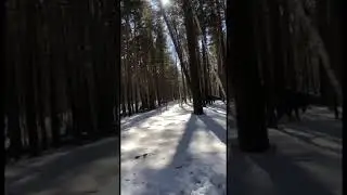 Чу-чуть работы