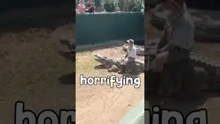 What A Crocodile Biting a Hand Sounds Like