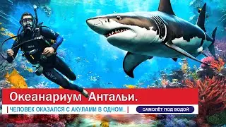 Don't go until you see it. Antalya Aquarium is located near Konyaalti Beach and Migros 5M store.