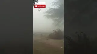 Karachi main pehle baar fog 😳😱 || Funtime || Karachi_vlogs || 2023_yt_shorts