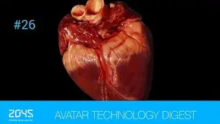 #26 Avatar Technology Digest / Researchers keep pig hearts alive in baboons for more than 2 years