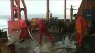 From trawl to cheer