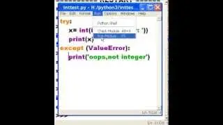 Python try except ValueError