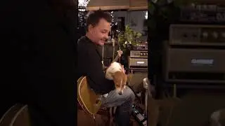 Doggy Jam