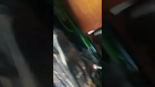 путешествие в сарай