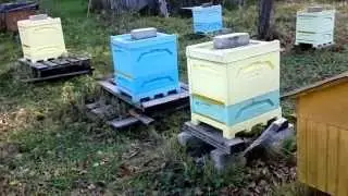 Последний облет 2013