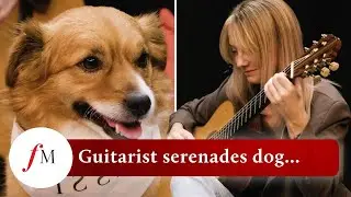 Rescue dog relaxes to beautiful serenade by classical guitarist | Classic FM