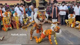 ಮಲ್ಪೆ ಕೊಳ ಫ್ರೆಂಡ್ಸ್  ಆಶ್ರಯದಲ್ಲಿ ಕೊಲ್ಲೂರು ಶ್ರೀ ಮೂಕಾಂಬಿಕೆಯ ಸನ್ನಿಧಾನದಲ್ಲಿ ಹುಲಿವೇಷ ಕುಣಿತ ಸೇವೆ 2023 #pili