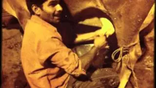 IMG 1604