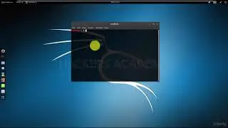 003 Терминал Kali Linux