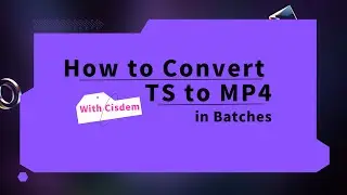 How to Convert TS to MP4 in Batches with High Quality