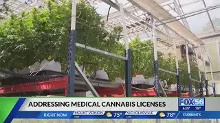 Officials address concerns as Kentucky medical cannabis approaches