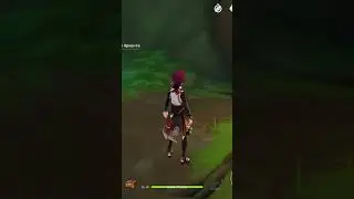 first entrance to Sumeru | Genshin Impact