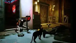 i am a good cat