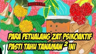 Tanaman-Tanaman yang Bisa Bikin Mabuk