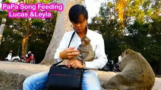 Sweet PaPa Song so lovely baby Lucas give extra food Lucas everyday, Leyla and Lucas so happy much
