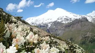 💖Газаев Алим 